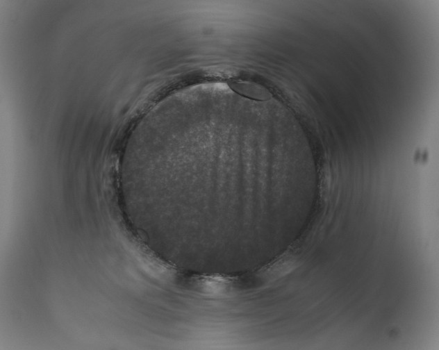 X0000110710229200907101252