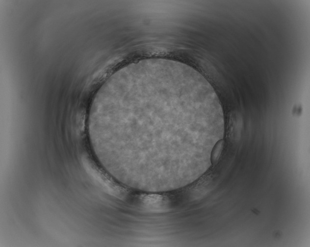 X0000110710230200907101252