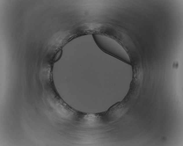 X0000110710231200907101252