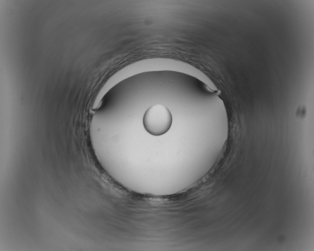 X0000110710233200907101252