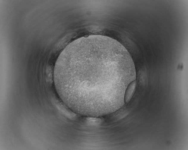 X0000110710234200907101252