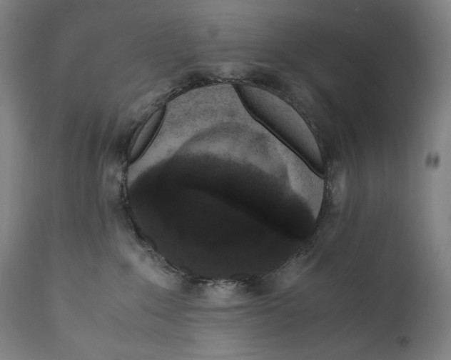 X0000110710235200907101252