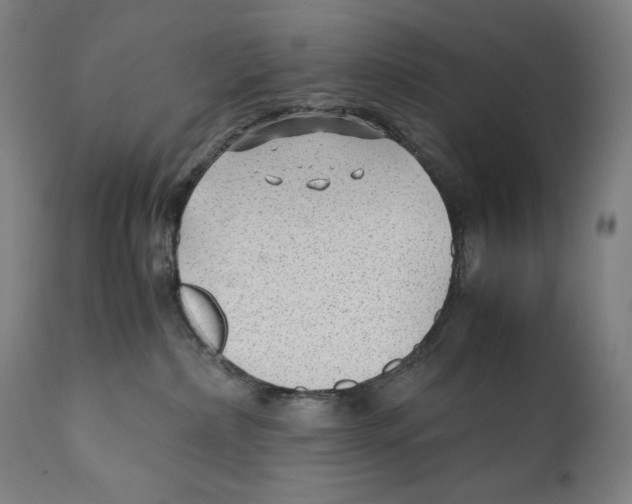 X0000110710236200907101252