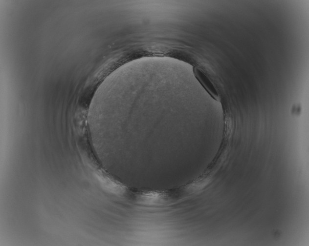 X0000110710237200907101252