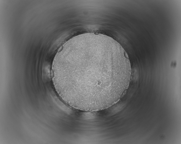 X0000110710238200907101252