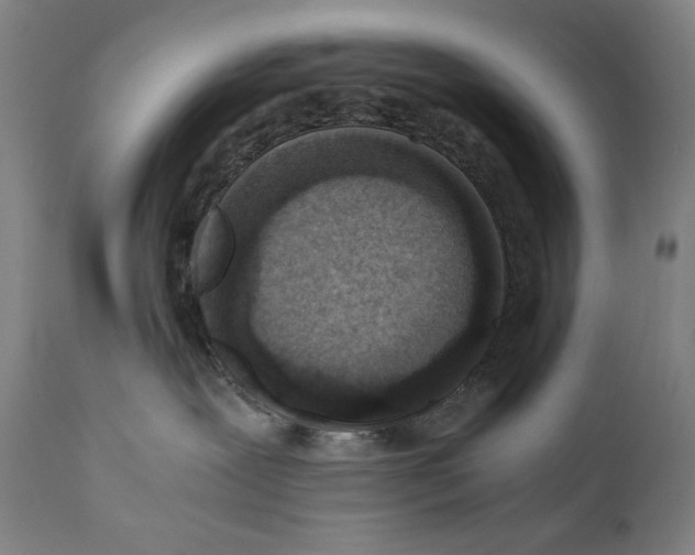 X0000110710239200907101252