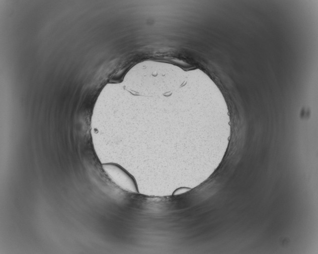 X0000110710240200907101252