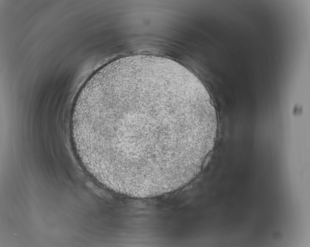 X0000110710241200907101251