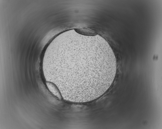 X0000110710242200907101251
