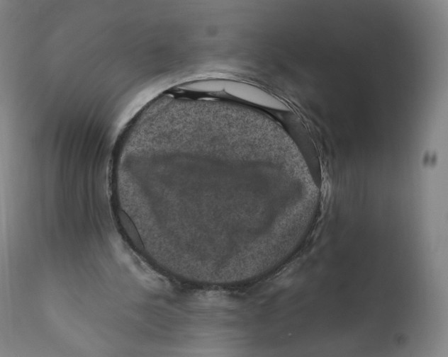 X0000110710244200907101251