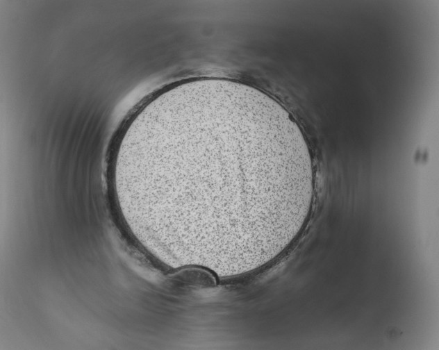 X0000110710246200907101251