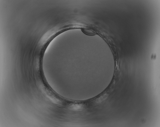 X0000110710247200907101251