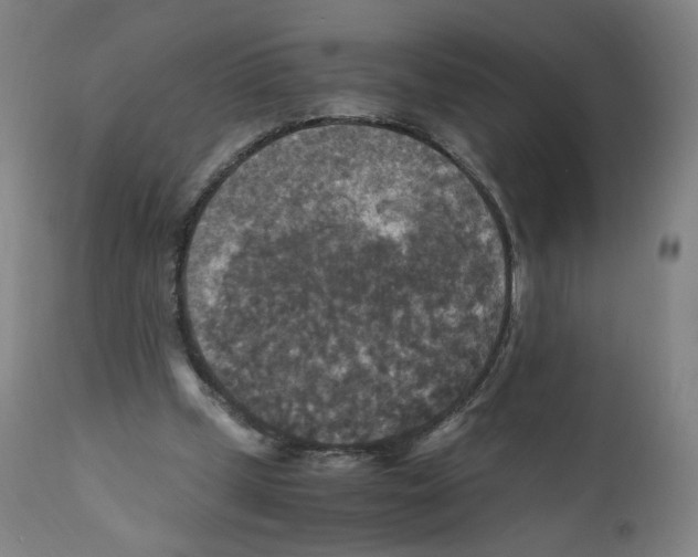 X0000110710249200907101251