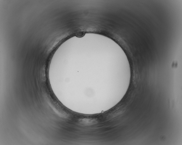 X0000110710251200907101251