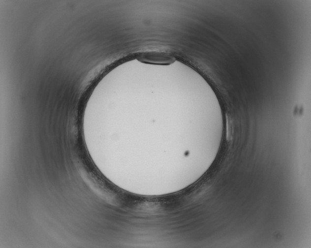 X0000110710252200907101251