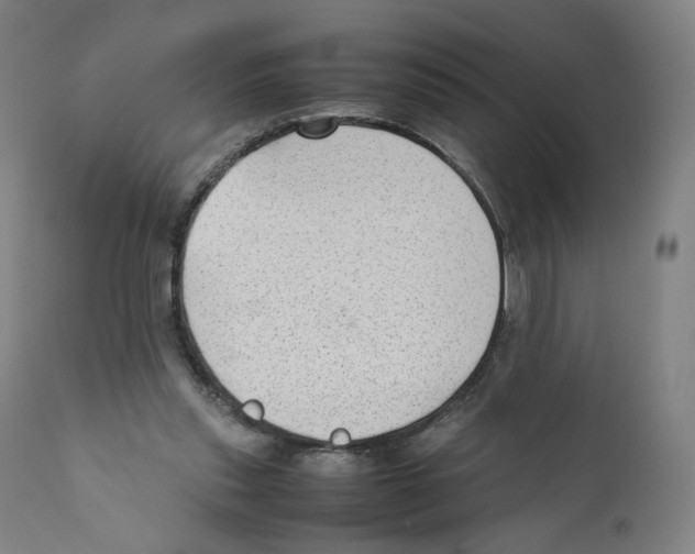 X0000110710253200907101251