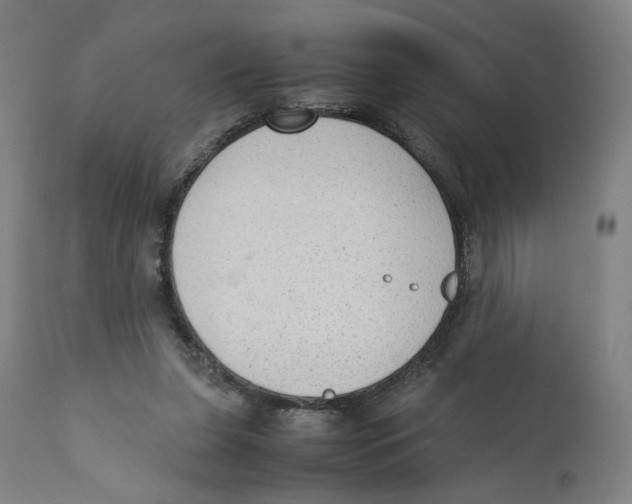 X0000110710255200907101251