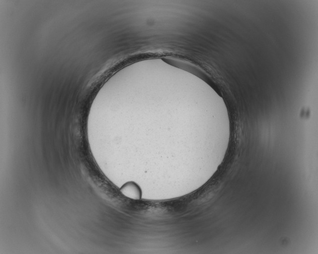 X0000110710256200907101251