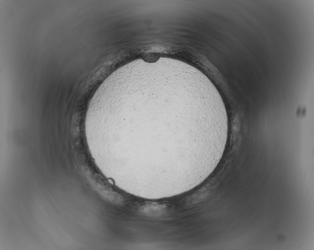 X0000110710257200907101251