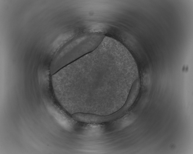 X0000110710260200907101251