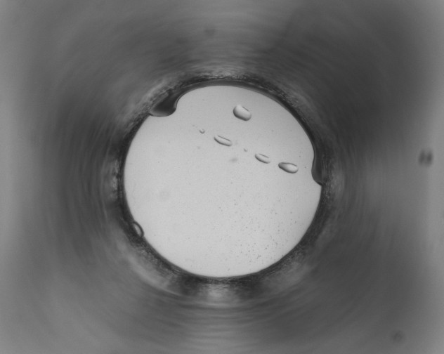 X0000110710264200907101251