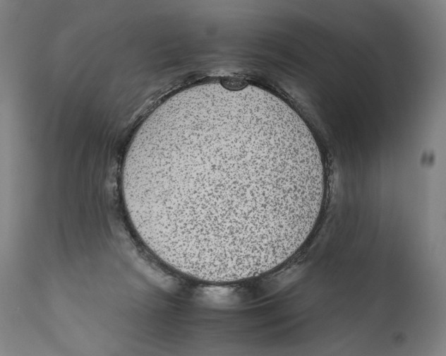 X0000110710265200907101251