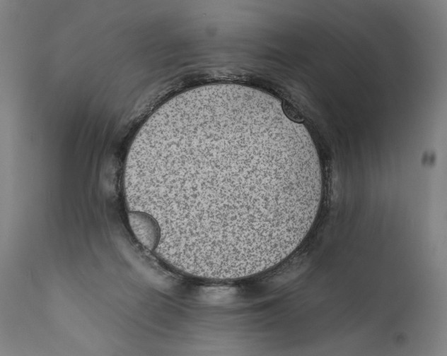 X0000110710266200907101251