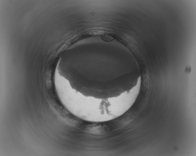 X0000110710267200907101251