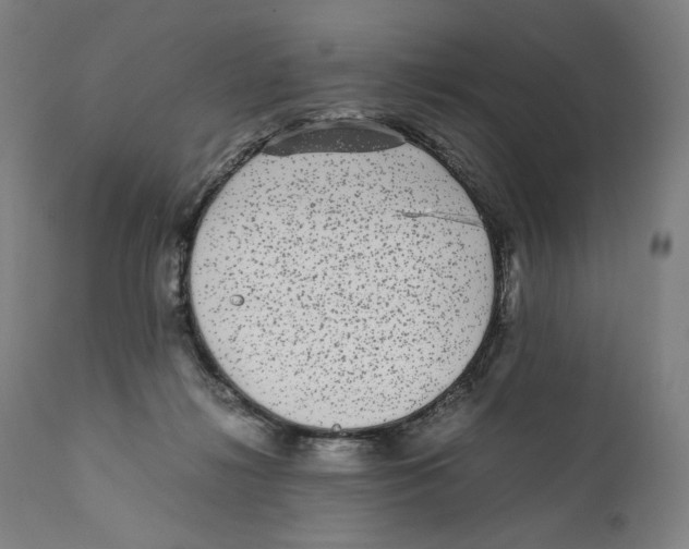 X0000110710268200907101251
