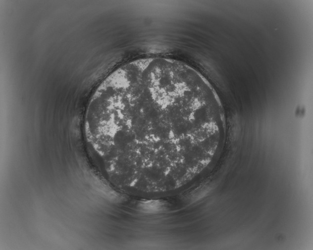 X0000110710269200907101251
