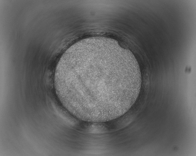 X0000110710270200907101251