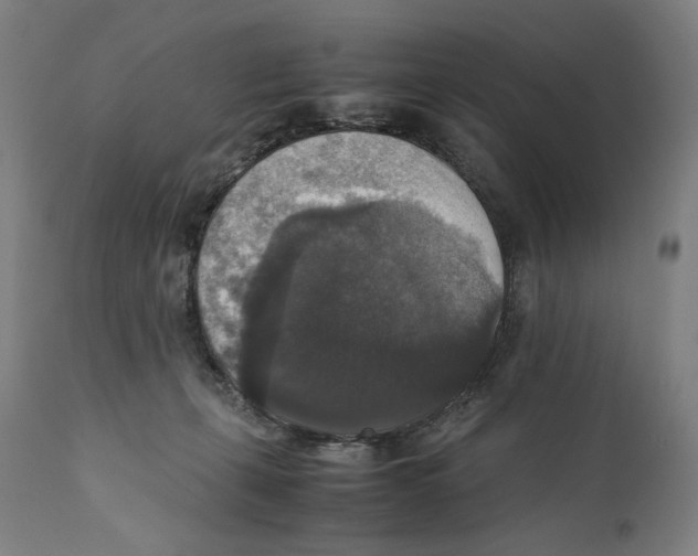 X0000110710271200907101251