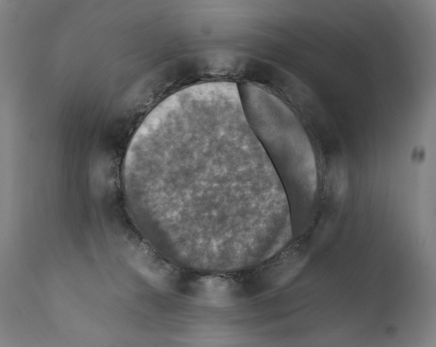 X0000110710272200907101251