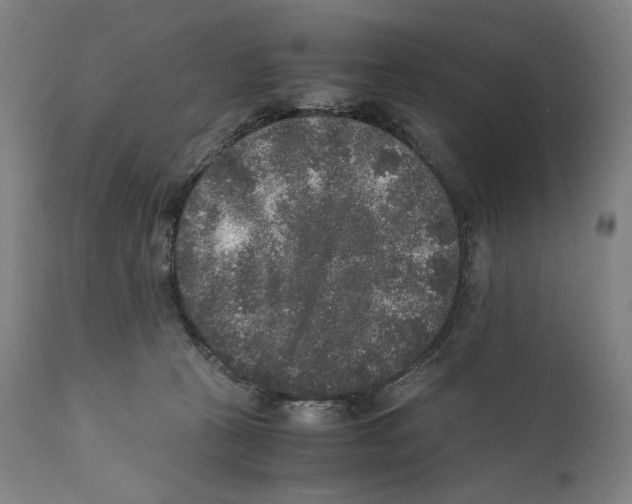 X0000110710273200907101251