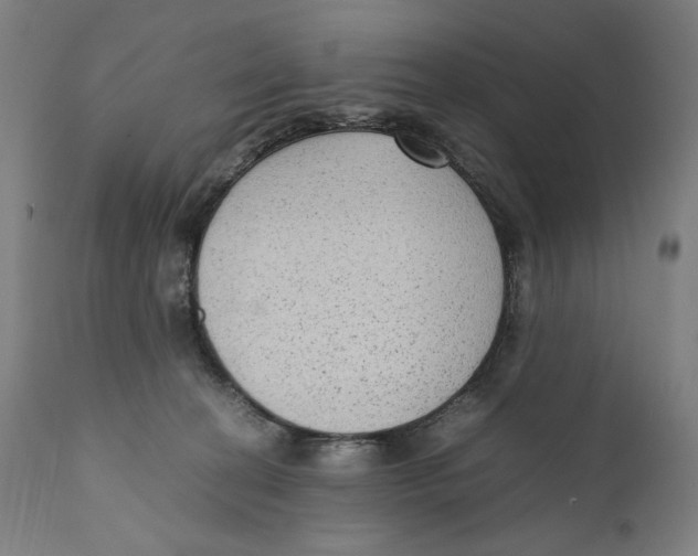 X0000110710274200907101251
