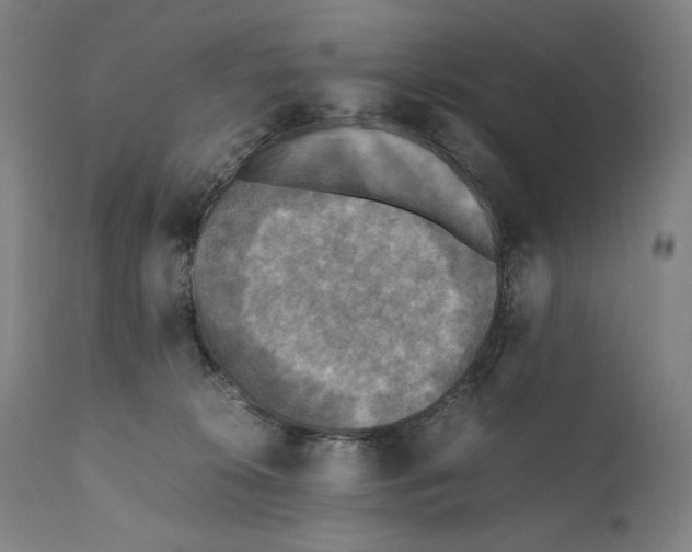 X0000110710276200907101251