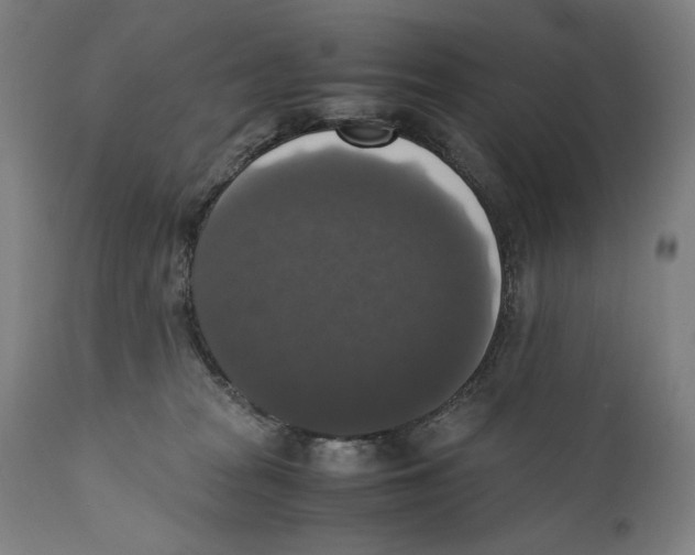 X0000110710277200907101251