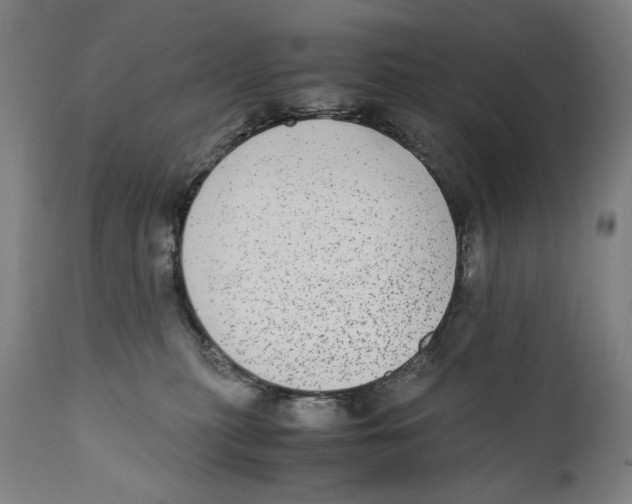 X0000110710279200907101251