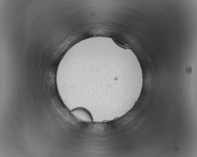 X0000110710282200907101252