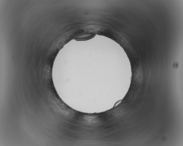 X0000110710283200907101252