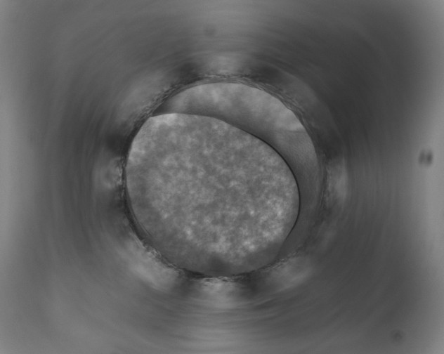 X0000110710284200907101252