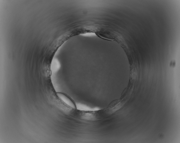 X0000110710285200907101252