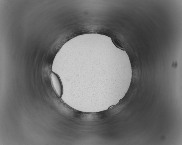 X0000110710286200907101252
