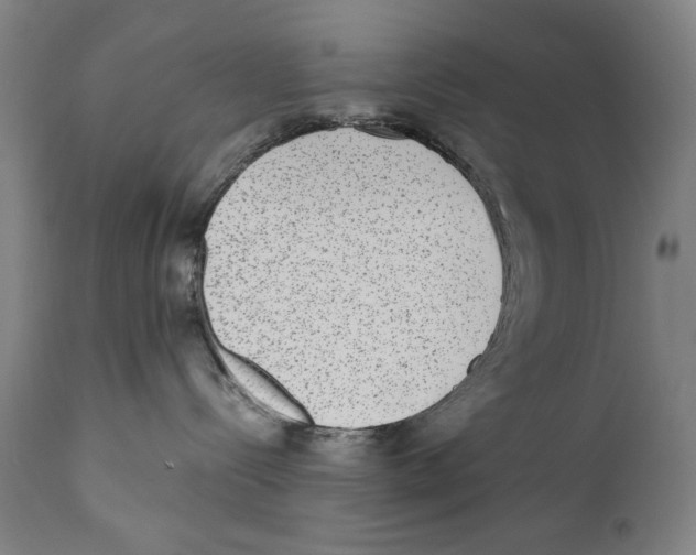 X0000110710288200907101252