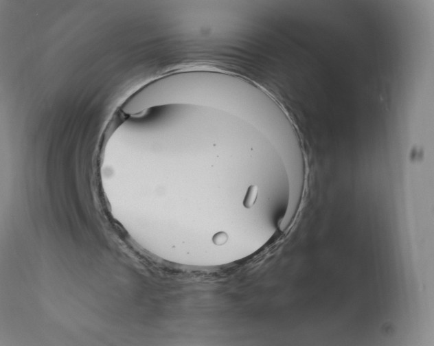 X0000110710289200907101251