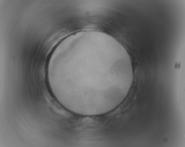 X0000110710290200907101251
