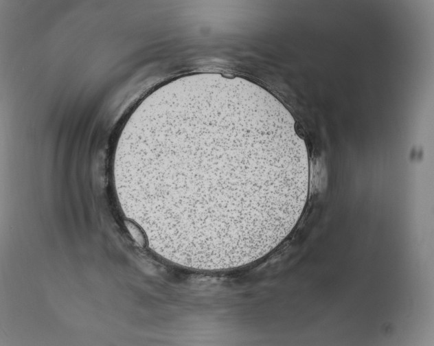 X0000110710291200907101251