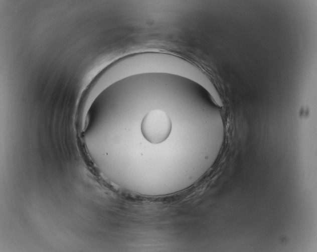 X0000110710292200907101251