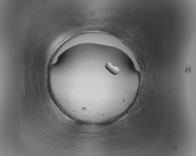 X0000110710293200907101251