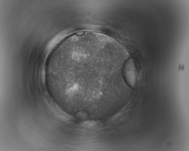 X0000110710294200907101251
